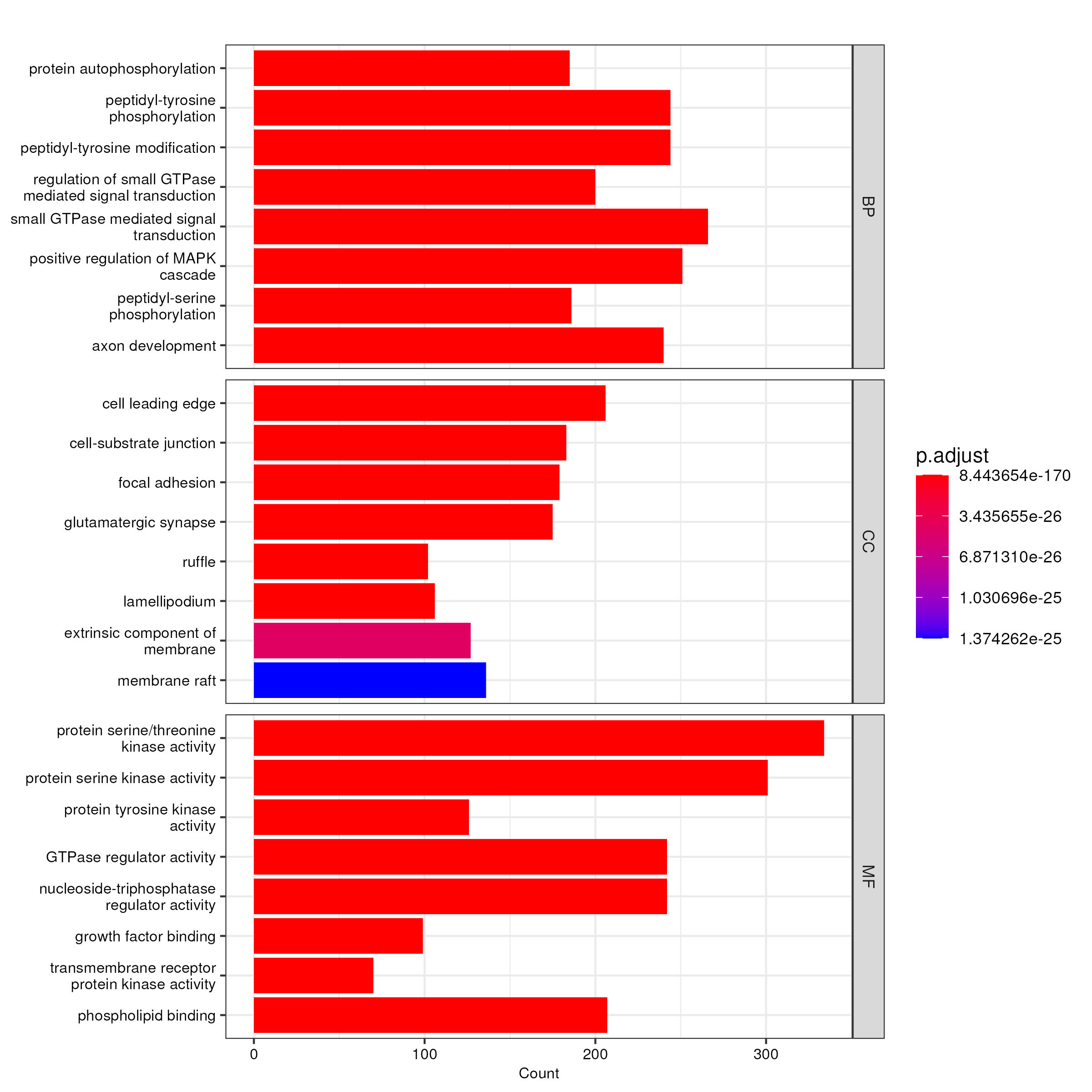 No signifant GO enrichment analysis result
