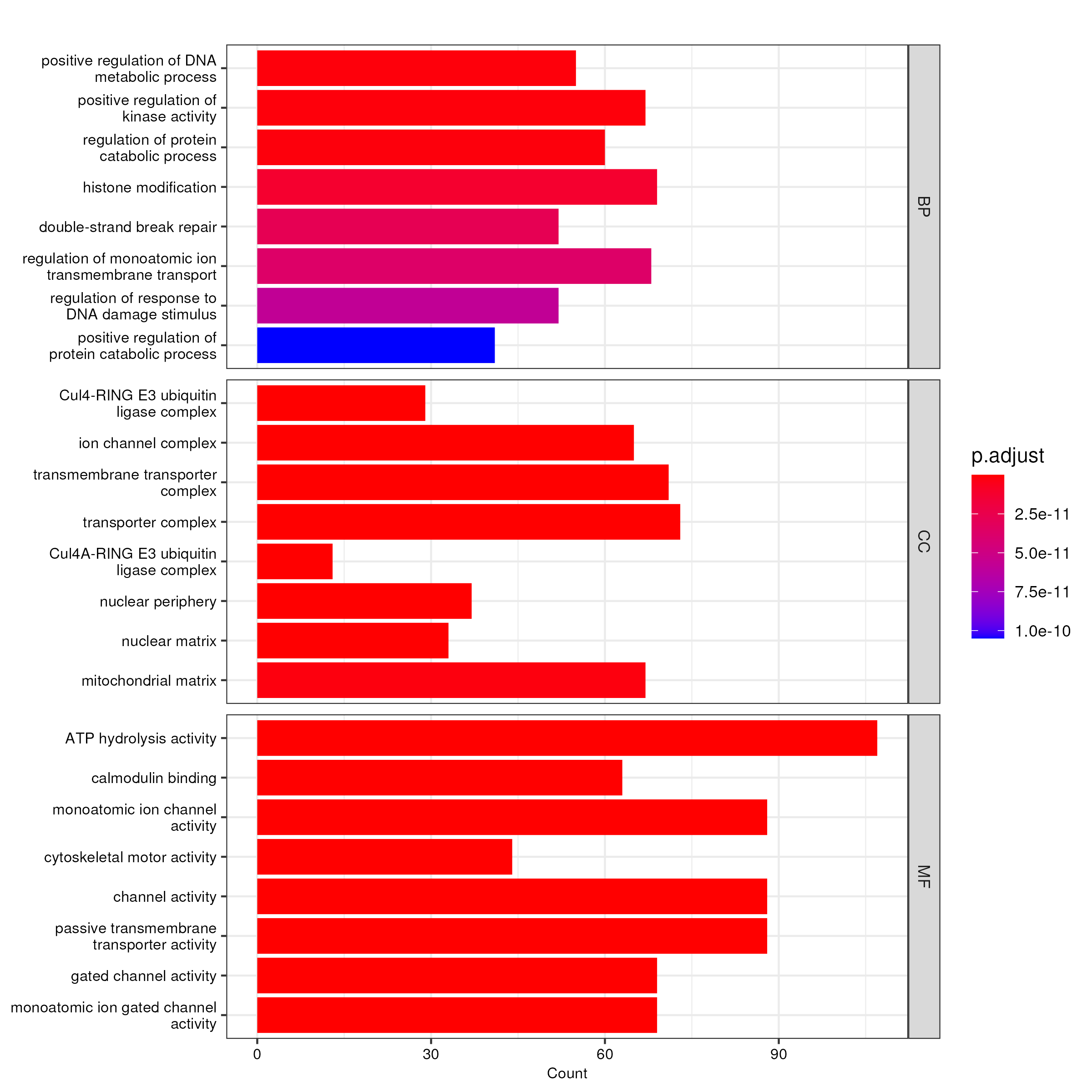 No signifant GO enrichment analysis result