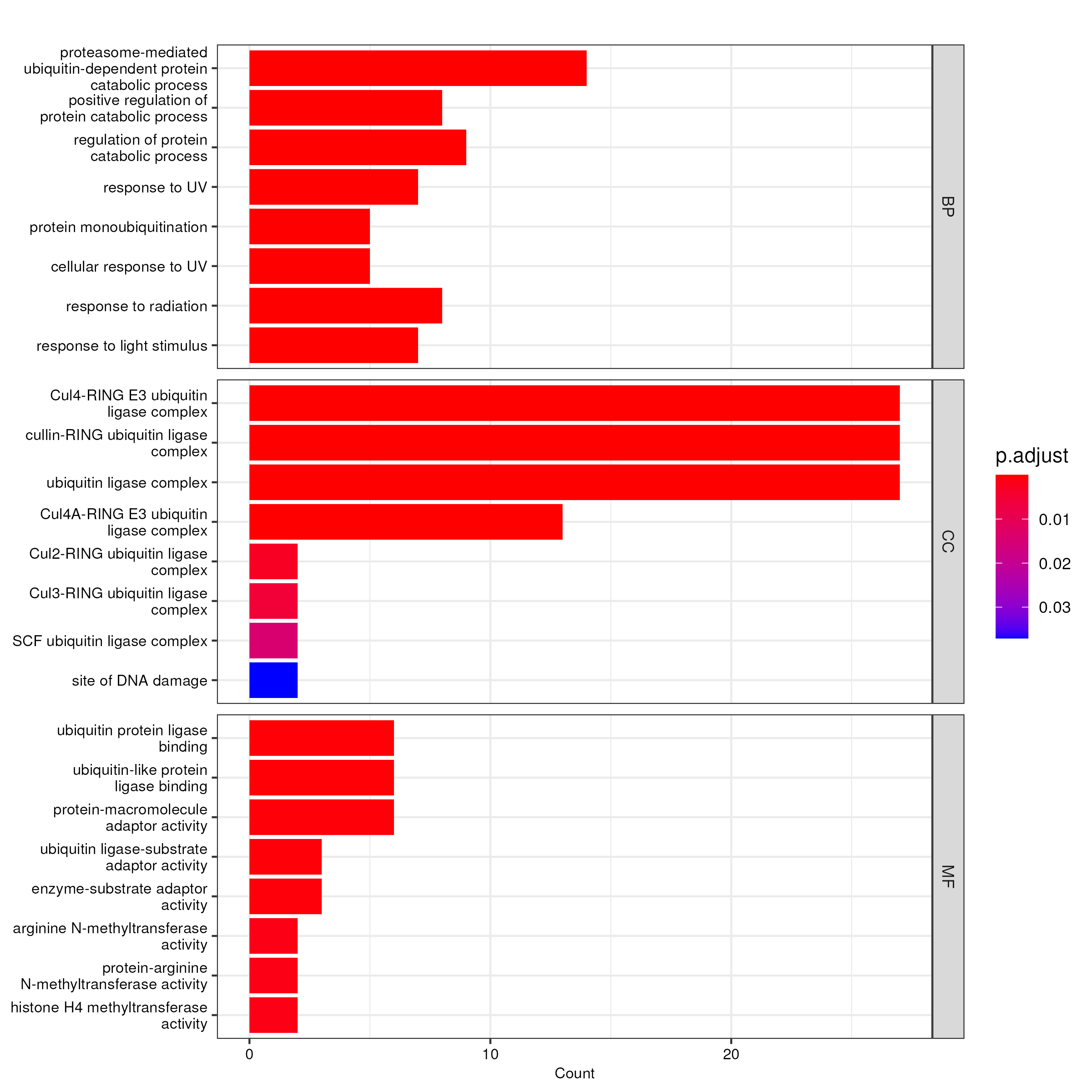 No signifant GO enrichment analysis result