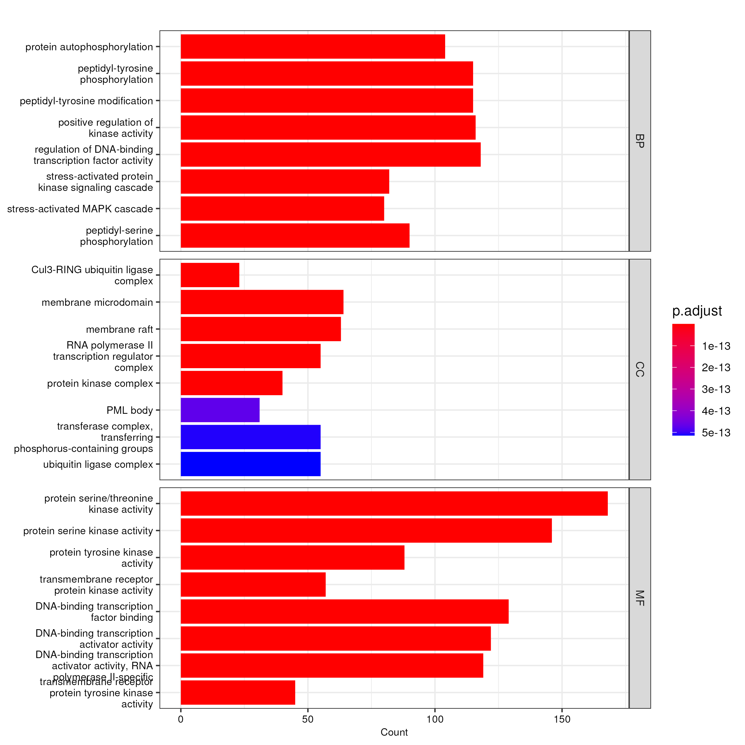 No signifant GO enrichment analysis result