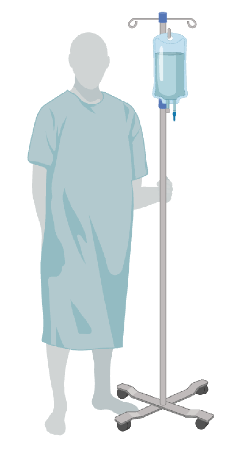 Transcription Factors